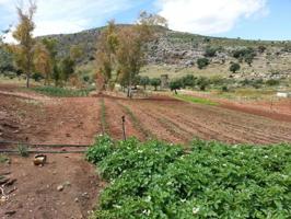 Parcela en venta en Almargen, Almargen photo 0