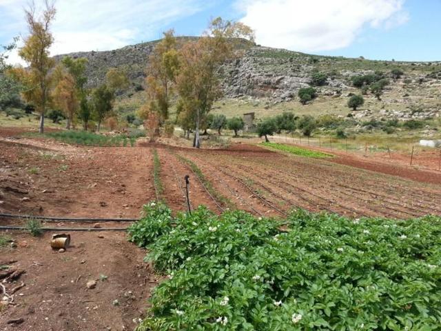 Parcela en venta en Almargen, Almargen photo 0