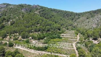 Parcela en venta en Oliva photo 0