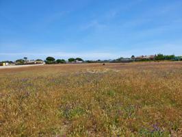 Parcela en venta en Chiclana de la Frontera, Pago del humo photo 0