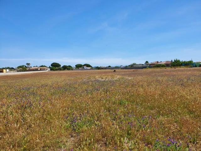 Parcela en venta en Chiclana de la Frontera, Pago del humo photo 0