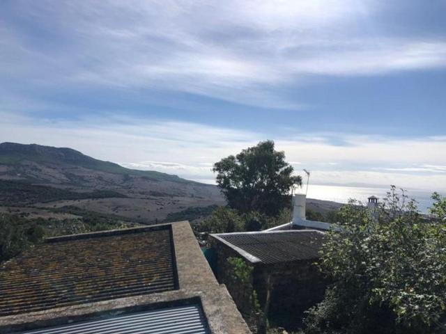 Parcela en venta en Tarifa, Bolonia photo 0