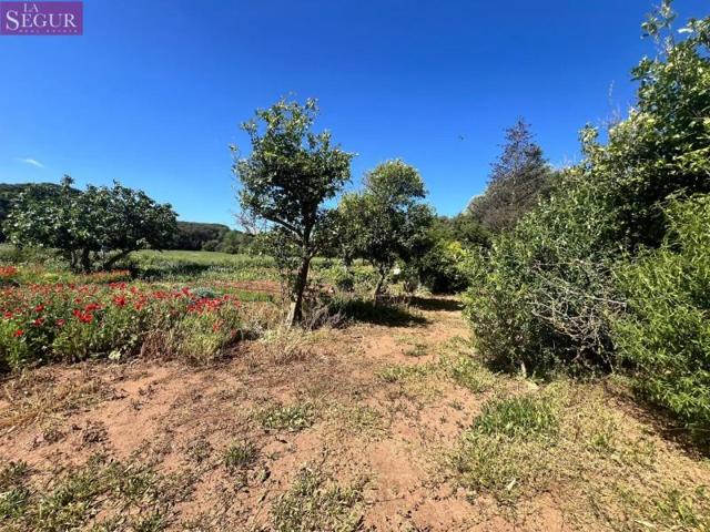 Parcela en venta en Vejer de la Frontera, LA MUELA photo 0