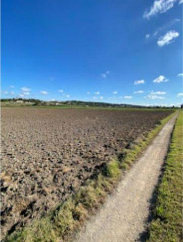 Parcela en venta en Montuïri, Montuiri photo 0