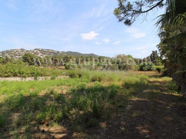 Parcela en venta en Lloret de Mar, La Montgoda photo 0