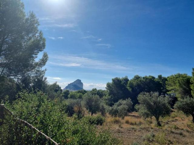 Parcela en venta en Calpe, Calpe photo 0