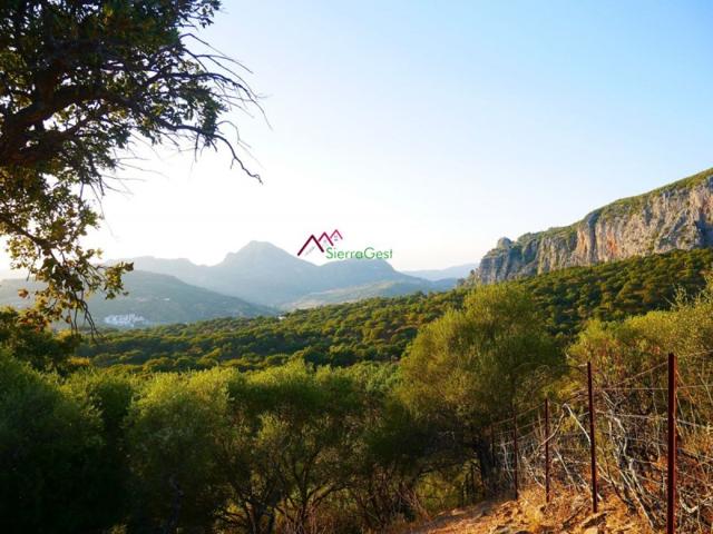 Parcela en venta en Ubrique, OTRAS photo 0