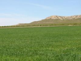 Parcela en venta en Yecla, Ayuntamiento photo 0