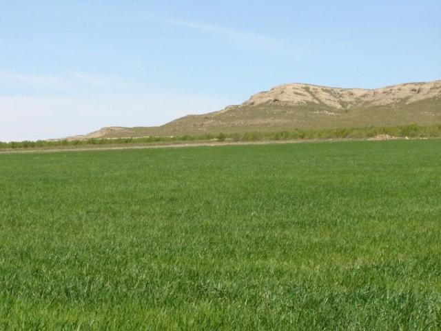 Parcela en venta en Yecla, Ayuntamiento photo 0