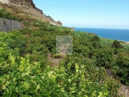 Parcela en venta en Buenavista del Norte photo 0