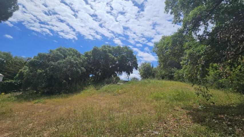 Parcela en venta en Sotogrande, Sotogrande - Alto photo 0