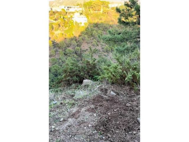 Parcela en venta en Benahavís photo 0