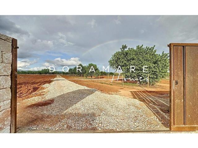 Parcela en venta en Campos photo 0