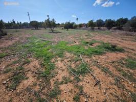 Parcela en venta en Mallorca, Establiments - Son Sardina photo 0