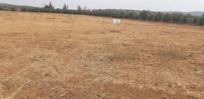 Parcela en venta en Antequera, Centro photo 0