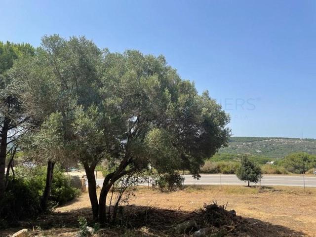 Parcela en venta en Sotogrande photo 0