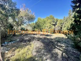 Parcela en venta en Torrent, Santa apolonia photo 0