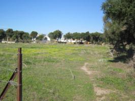 Parcela en venta en Barbate, Zahora photo 0