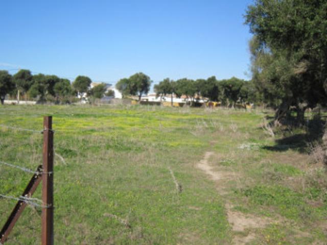 Parcela en venta en Barbate, Zahora photo 0