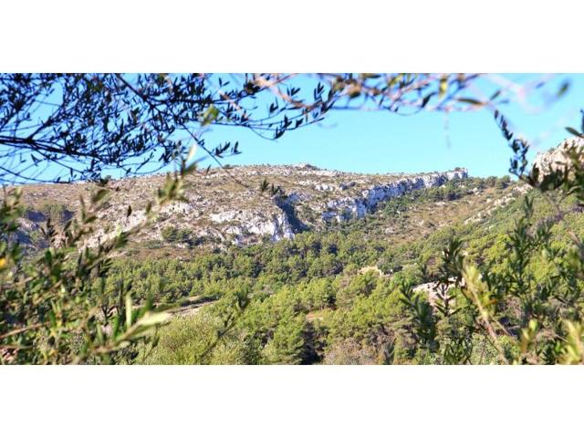 Parcela en venta en Manacor photo 0