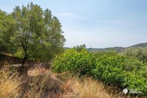 Terreno en venta en Alaró, Alaro photo 0