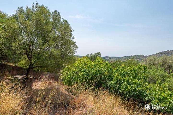 Terreno en venta en Alaró, Alaro photo 0