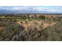 Parcela en venta en Santa Eugènia photo 0