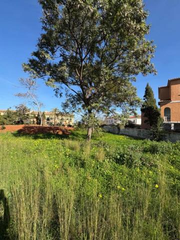 Parcela en venta en Denia photo 0