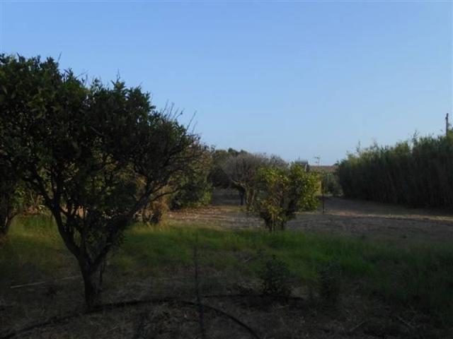 Parcela en venta en Tarifa, La Vega photo 0