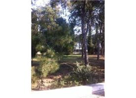 Parcela en venta en Las Torres de Cotillas, Las torres de cotillas photo 0