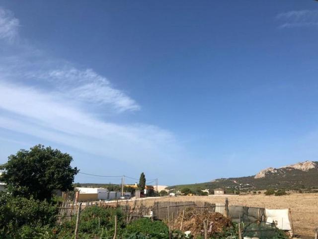 Parcela en venta en Tarifa, Bolonia photo 0