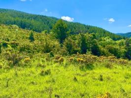 Parcela en venta en Castiello de Jaca, Candanchu photo 0