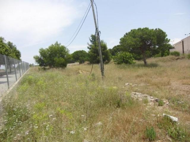 Parcela en venta en Godella, URB. CAMPOLIVAR photo 0