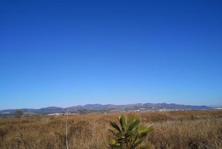 Terreno en venta en La Llosa, Costa del azahar photo 0
