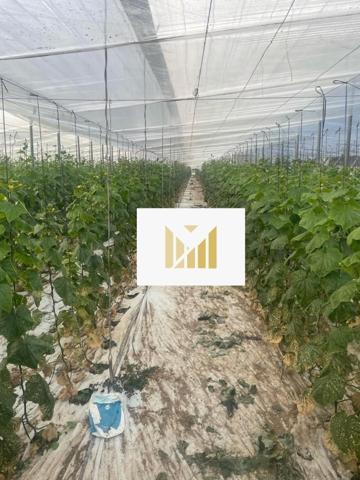 Parcela en venta en Vícar, Vicar photo 0