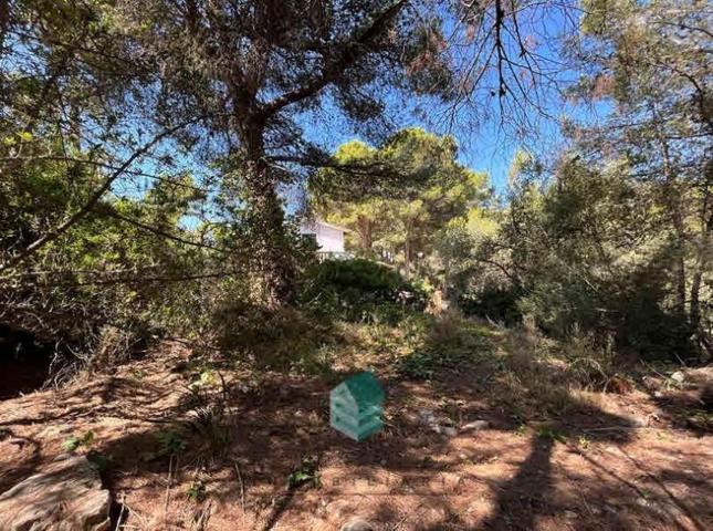 Parcela en venta en Calvia, Santa Ponsa photo 0