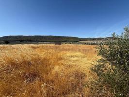 Parcela en venta en Humilladero, Humilladero photo 0