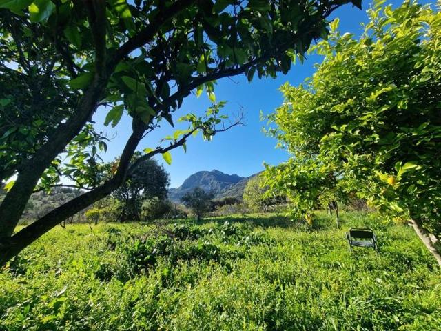 Parcela en venta en Ubrique, OTRAS photo 0