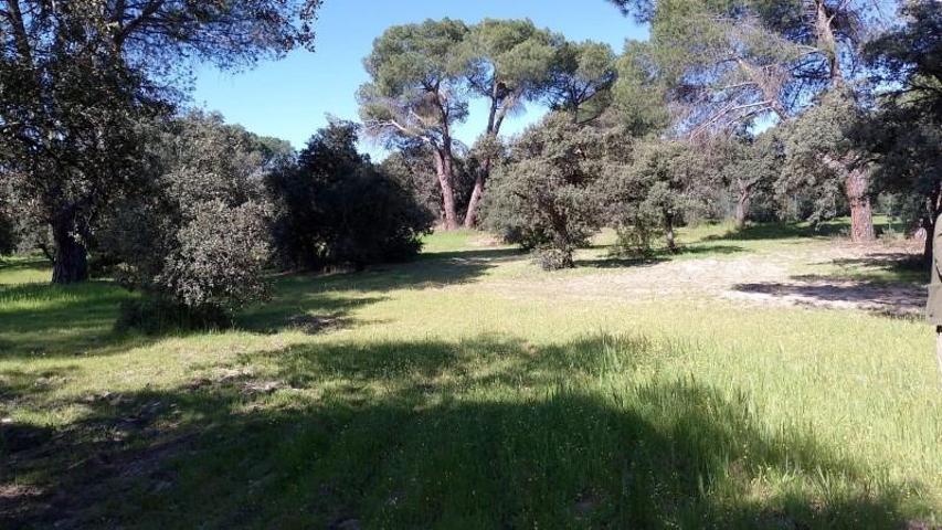 Parcela en venta en Pozuelo de Alarcón, Urbanizaciones photo 0