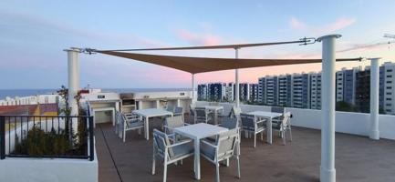 Apartamento en alquiler en Torrevieja, Punta Prima photo 0
