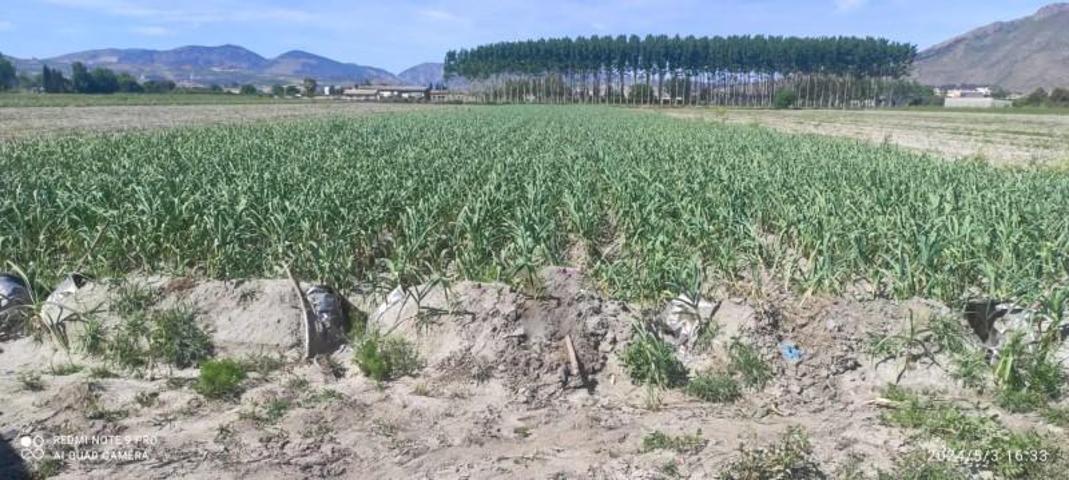 Terreno en venta en Fuente Vaqueros, Vega de granada zona noroeste photo 0