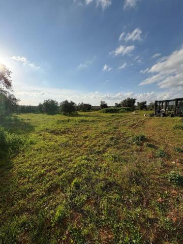 Chalet en venta en Pilas, Urbanizacion photo 0