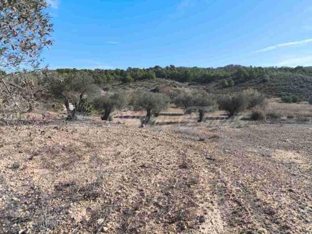Terreno en venta en Yecla photo 0