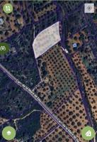 Terreno en venta en Cervera del Maestre photo 0