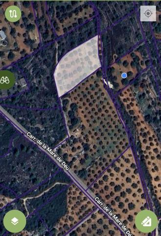 Terreno en venta en Cervera del Maestre photo 0