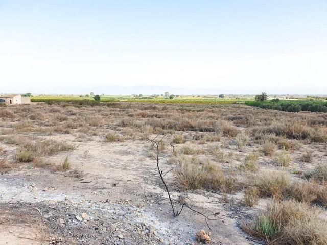 Parcela en venta en La Marina, Molar photo 0