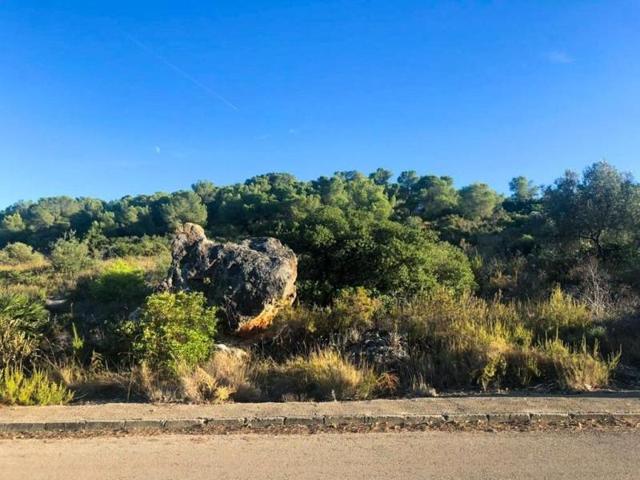 Terreno en venta en Alberic, Urbanizacion san cristobal photo 0