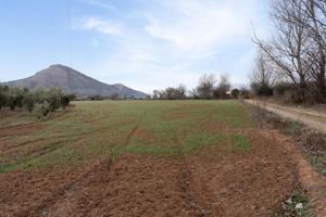 Terreno en venta en Albolote, Albolote photo 0