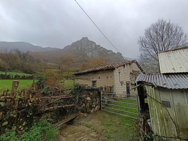 Terreno en venta en Aller, El pino photo 0