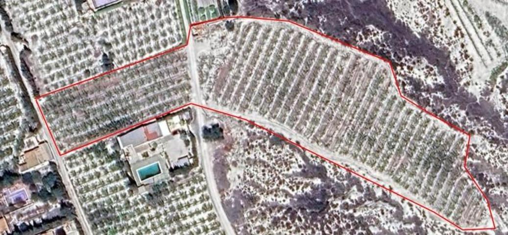 Terreno en venta en Cieza, Cieza photo 0